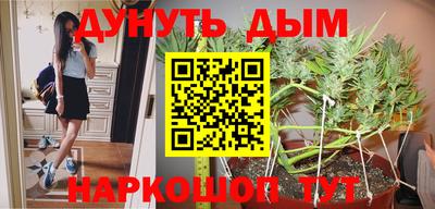 стаф Малгобек