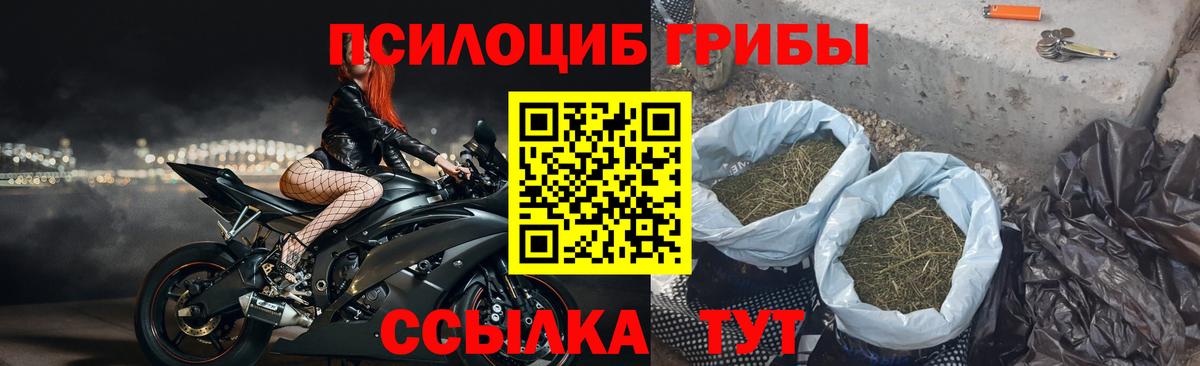 Галлюциногенные грибы ЛСД Гулькевичи