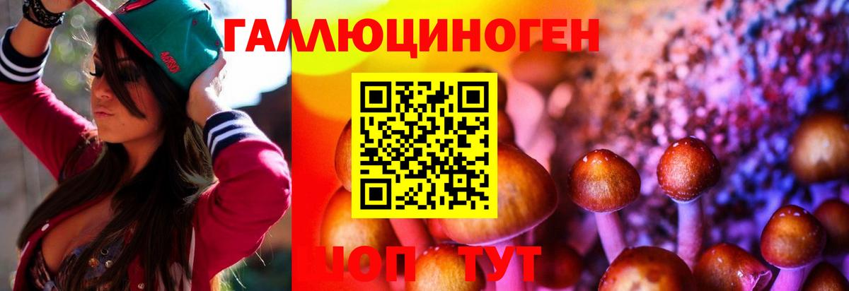 Гулькевичи  продажа наркотиков  Вход с VPN  Псилоцибиновые грибы мицелий 